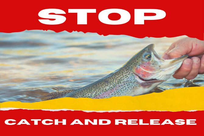 STOP Catch and release 