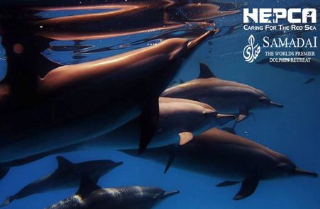 A New Vision for Samadai – Dolphin House 