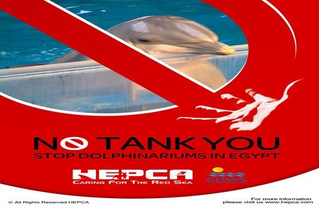 Petition against dolphinaria in Egypt 