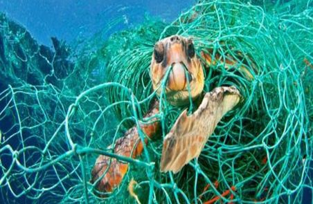 Recovery of ghost fishing nets