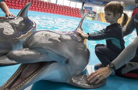 Dolphin Assisted Therapy – Another Criminal Enterprise 