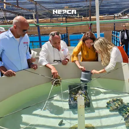 Caring for the Red Sea: USAID Team & US Ambassador Visit HEPCA!