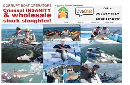 Corrupt Boat Operators Criminal Insanity and Wholesale Shark Slaughter! 