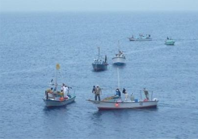 Egyptian Navy detains trawlers illegally fishing north of Hurghada 
