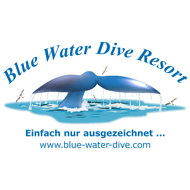 Blue water dive